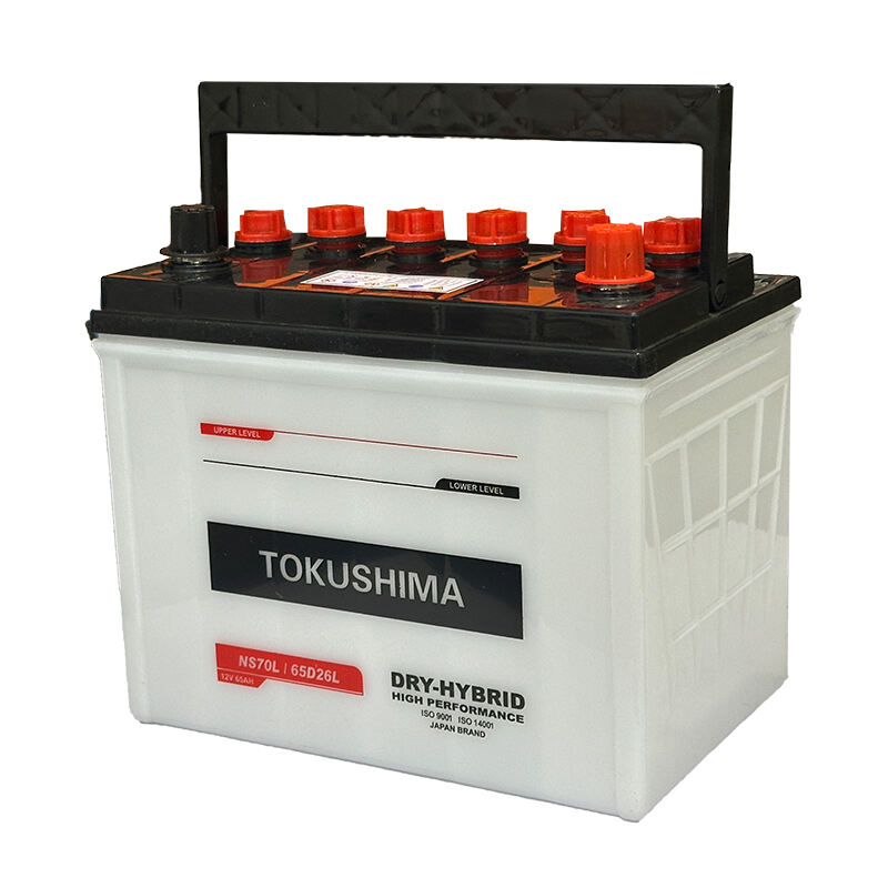 TOKUSHIMA NS70 DR Car Battery