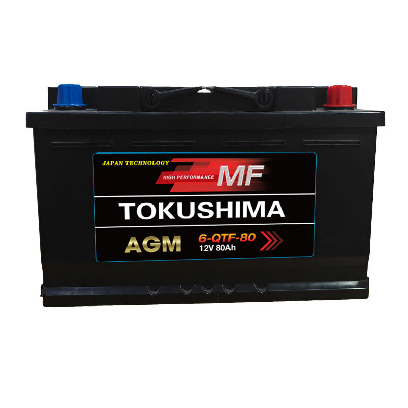 TOKUSHIMA QTF80 Car Battery