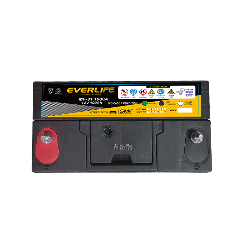 EVERLIFE MF-31 Автомобильный аккумулятор