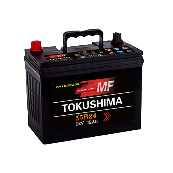 What are the common issues with cheap auto batteries and how to avoid them