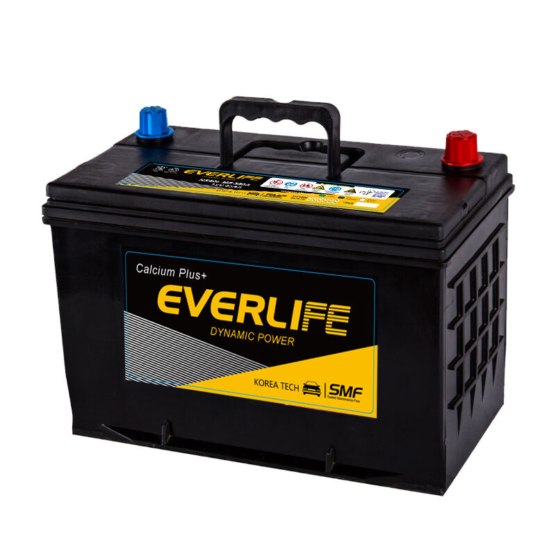 EVERLIFE NS60 Car Battery
