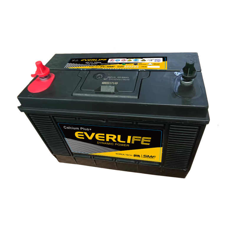 EVERLIFE MF-31 Автомобильный аккумулятор