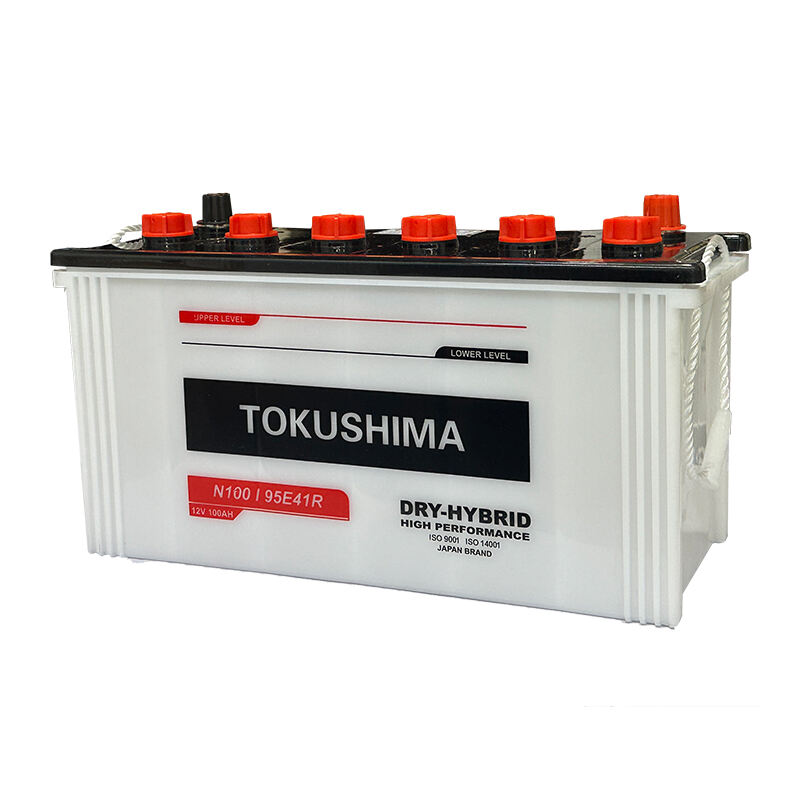 DRY CHARGED AUTOMOTIVE BATTERY