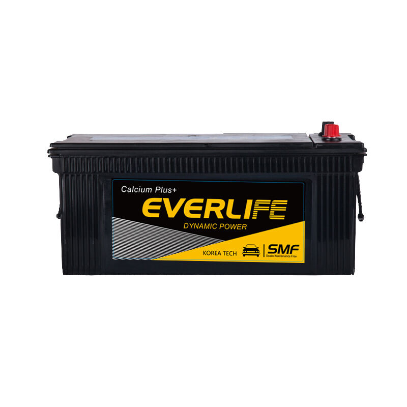 NÁKLADNÍ AUTOMOBILOVÝ AKUMULÁTOR EVERLIFE N225