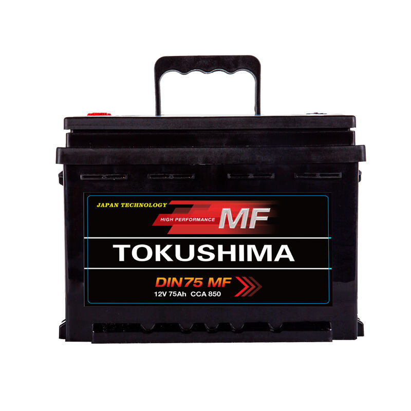 Best 12v acid lead battery suppliers