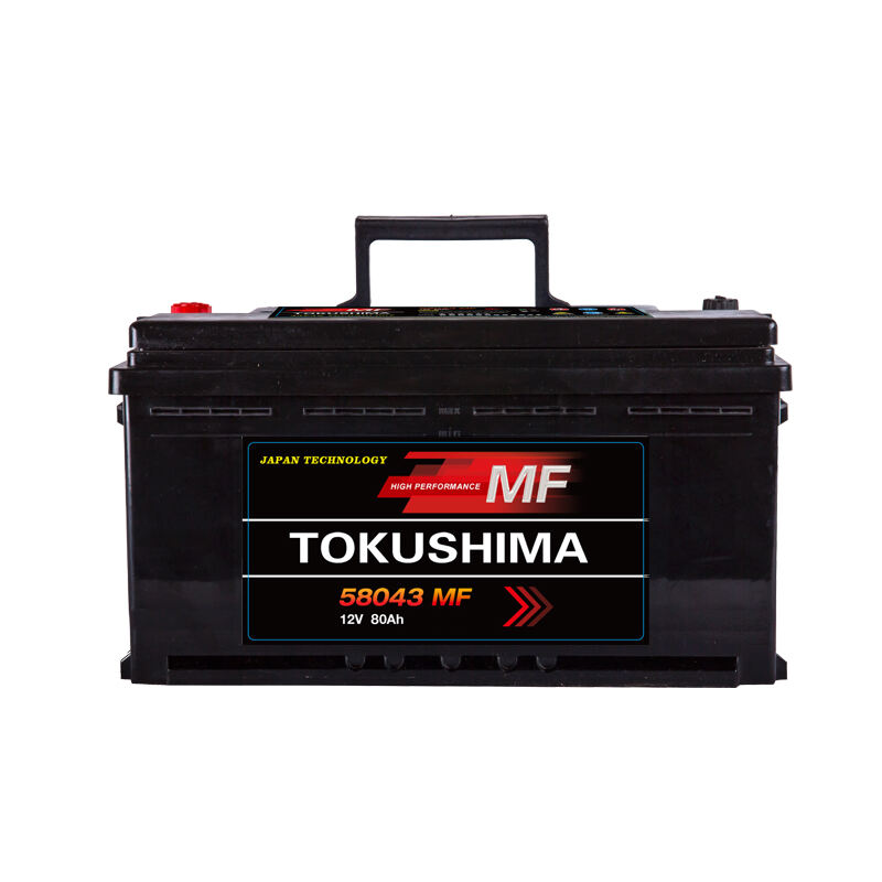 TOKUSHIMA DIN80 Car Battery