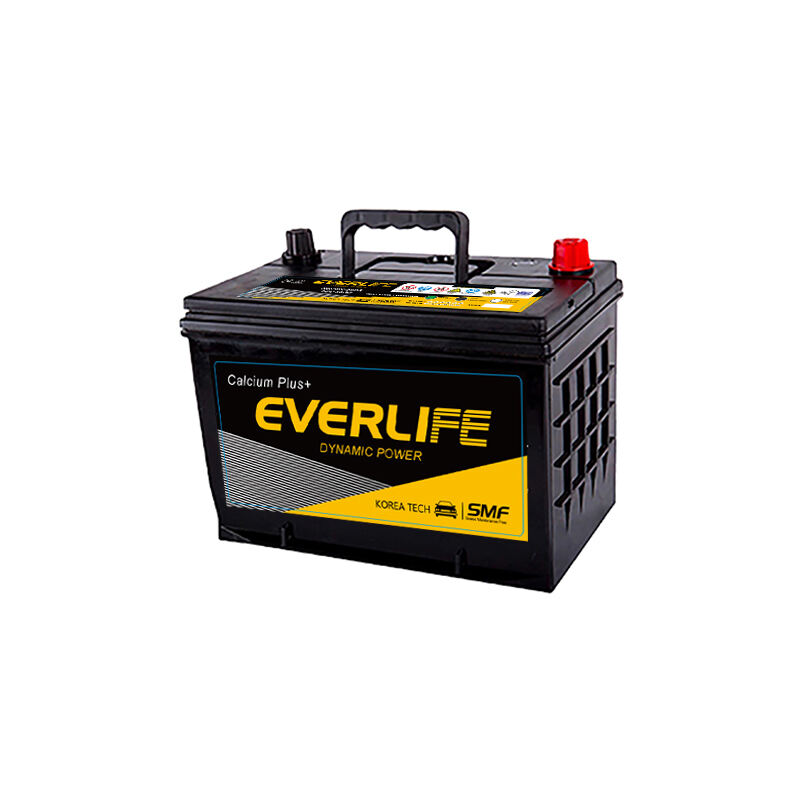 EVERLIFE NS70 Әуежай батареясы