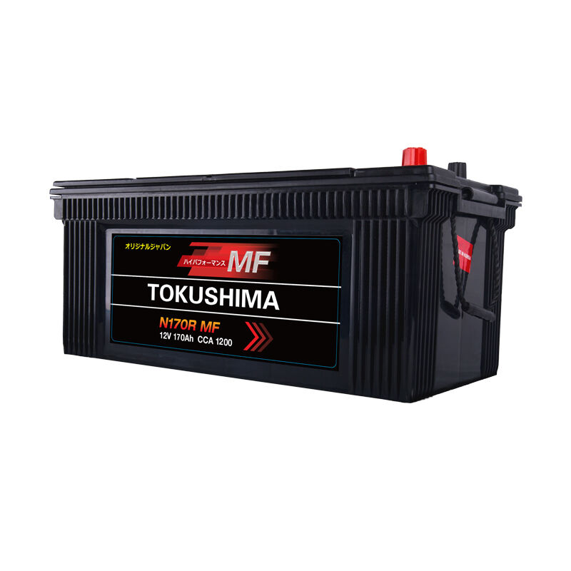 What Are the Key Features of High-Quality 24 Volt Truck Batteries