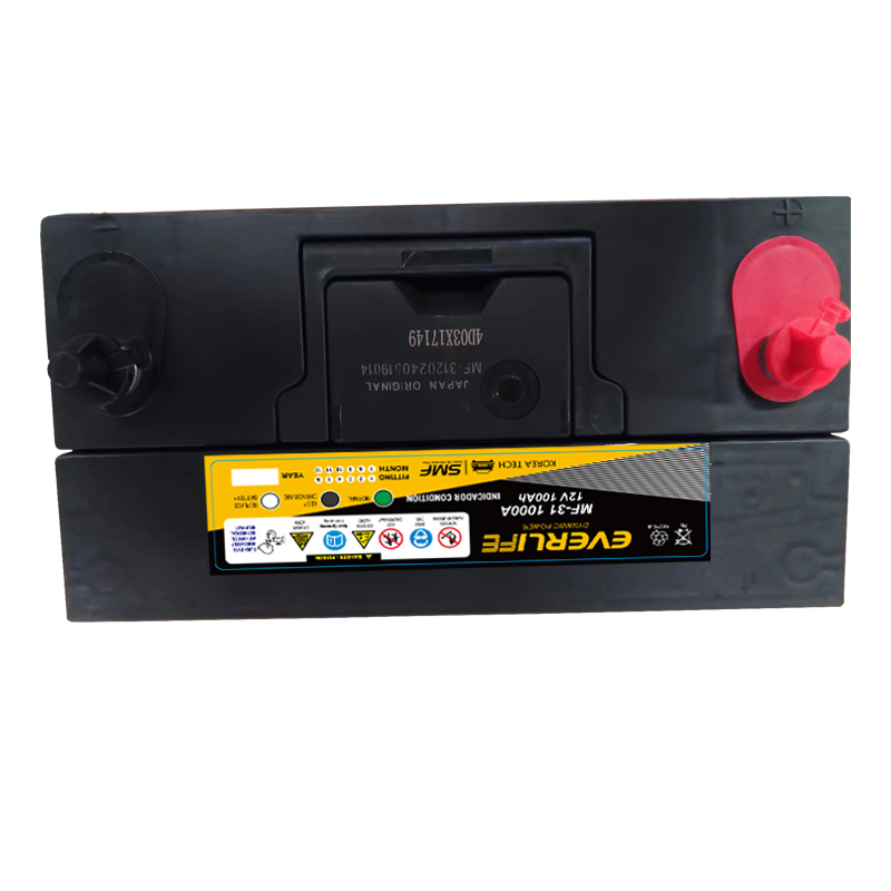 EVERLIFE MF-31 Автомобильный аккумулятор