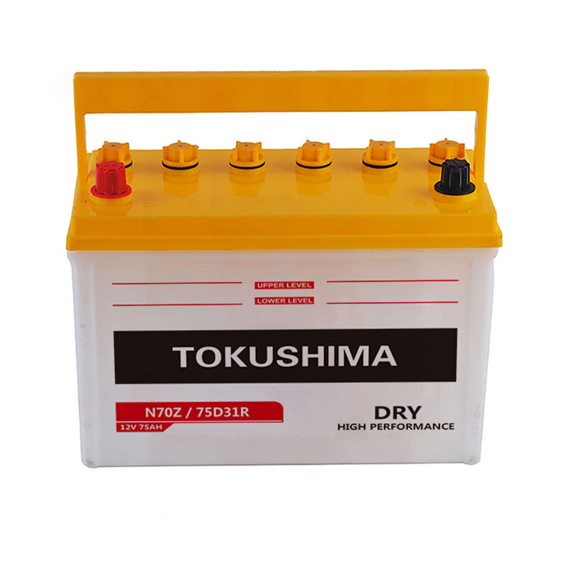 TOKUSHIMA N70Z DR Car Battery