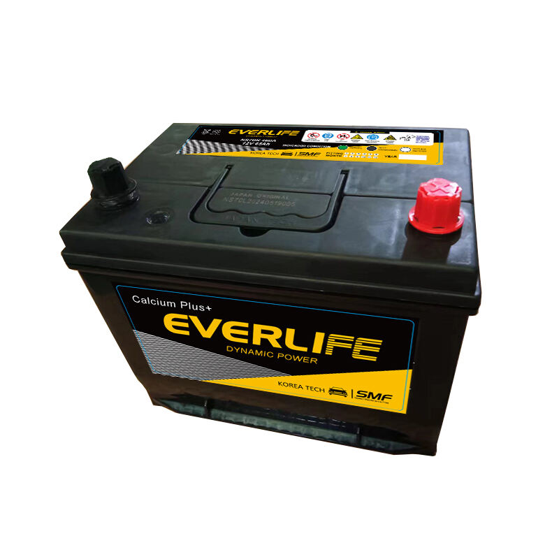 EVERLIFE NS70 Әуежай батареясы
