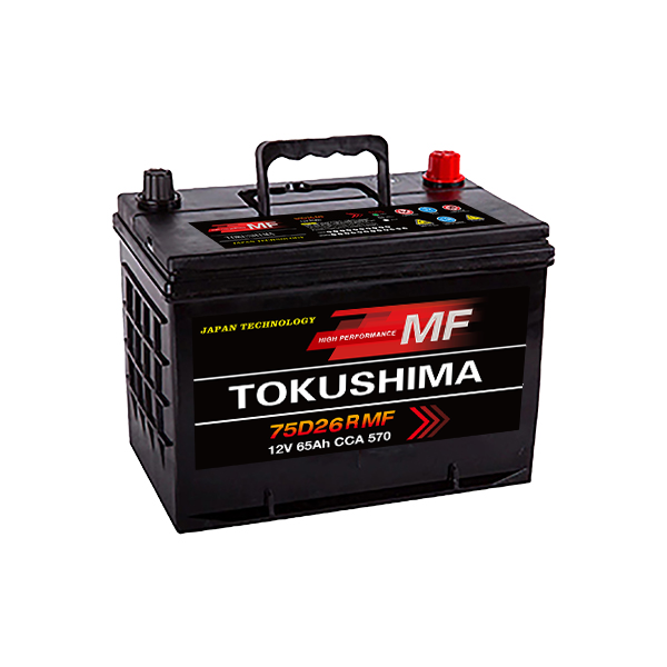 Hvilke batterier er bedst til japanske biler?