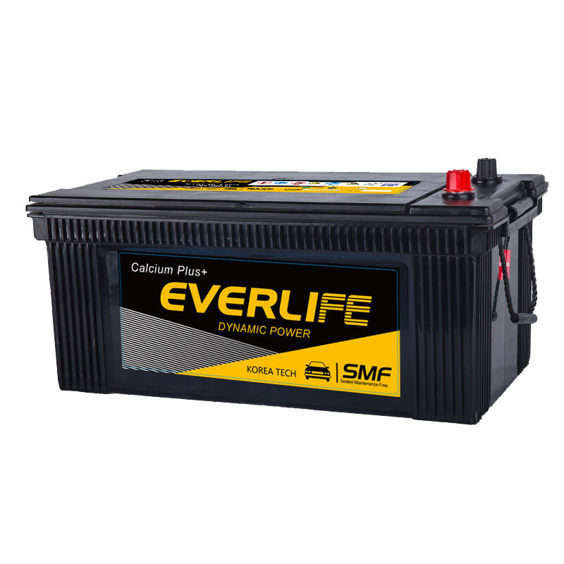 NÁKLADNÍ AUTOMOBILOVÝ AKUMULÁTOR EVERLIFE N225