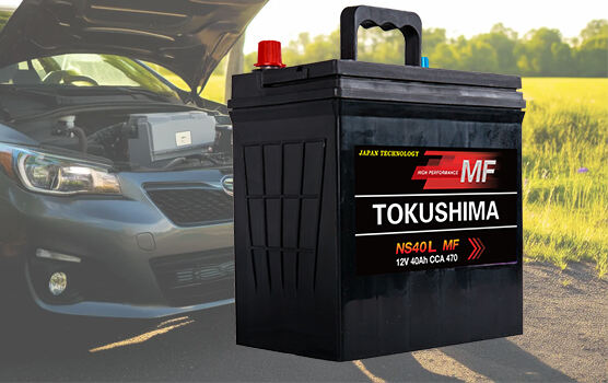 Automotive Batteries