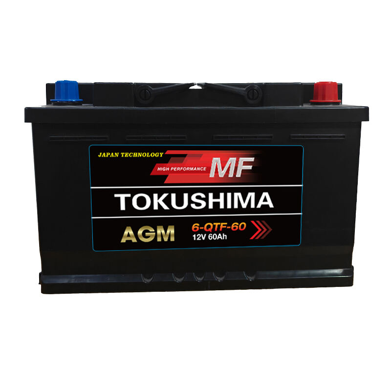 TOKUSHIMA QTF60 Car Battery
