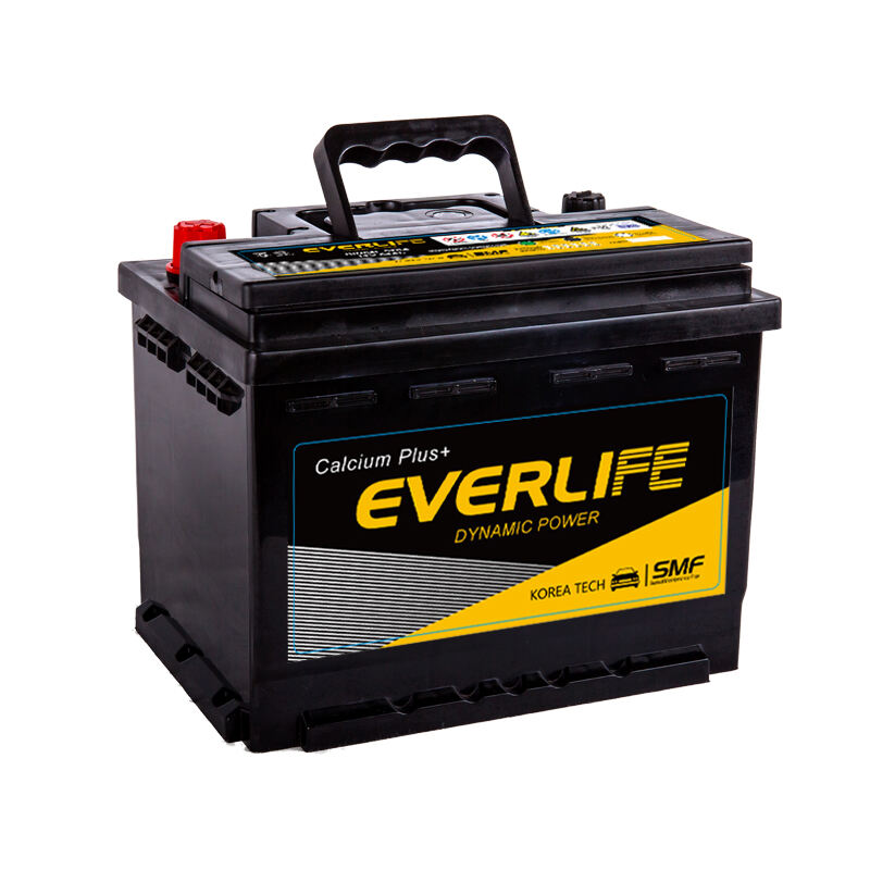 AUTOBATERIE EVERLIFE DIN64