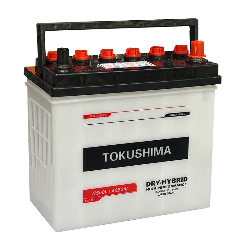 DRY CHARGED AUTOMOTIVE BATTERY