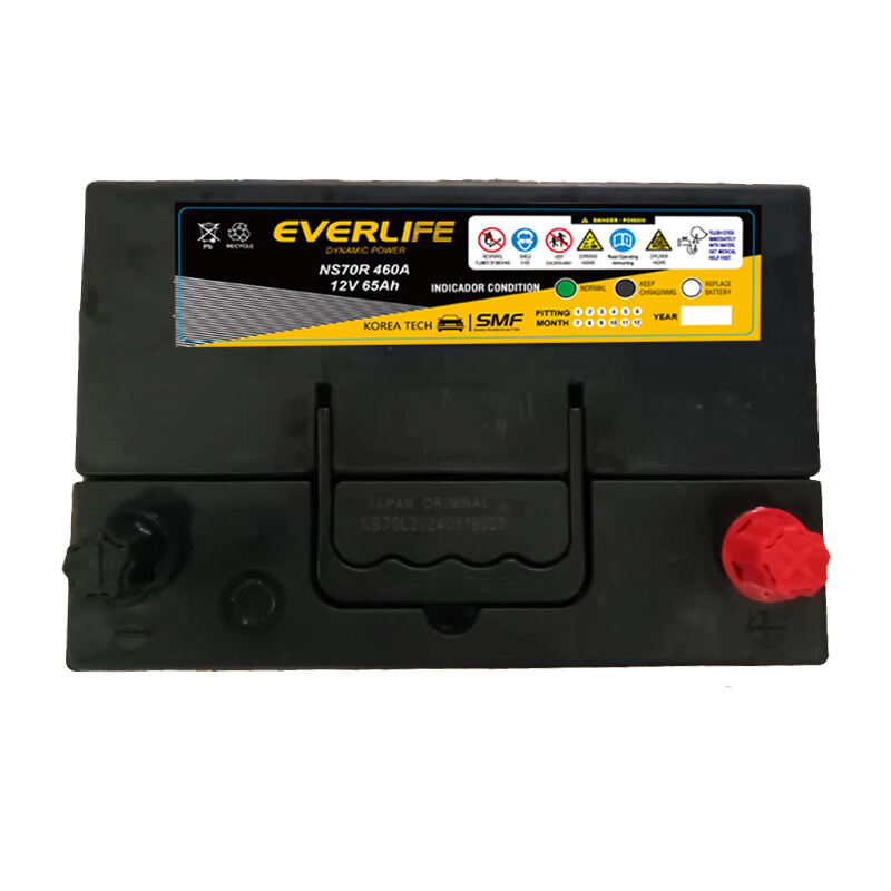 EVERLIFE NS70 Әуежай батареясы