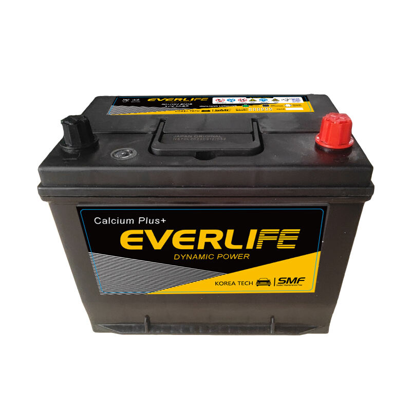 EVERLIFE NS70 Әуежай батареясы