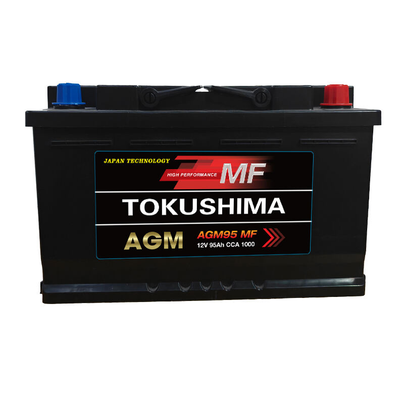 TOKUSHIMA AGM95 Car Battery