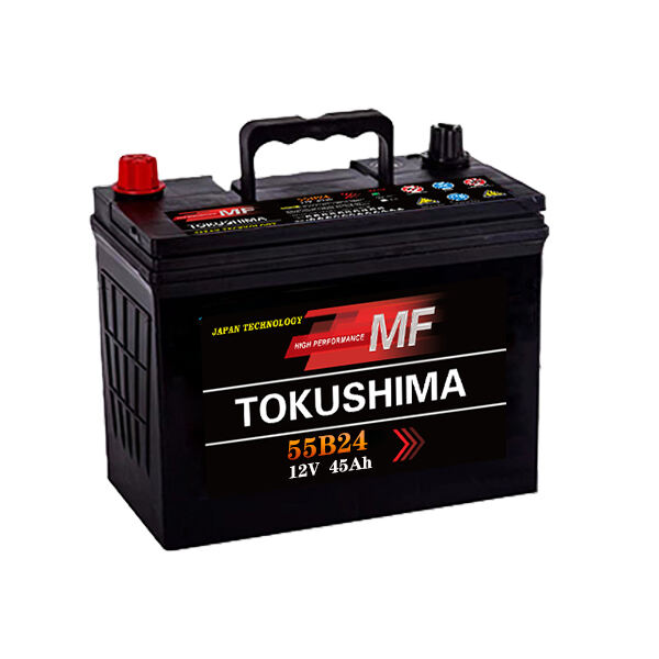 TOKUSHIMA JIS NX100-S6L Car Battery