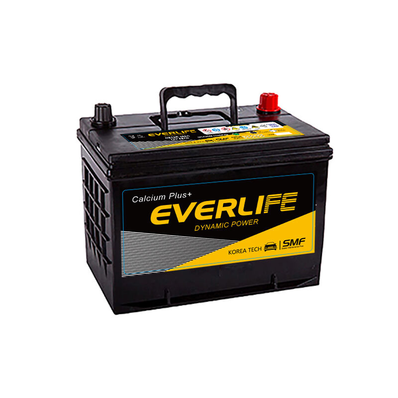 EVERLIFE NS70 Әуежай батареясы