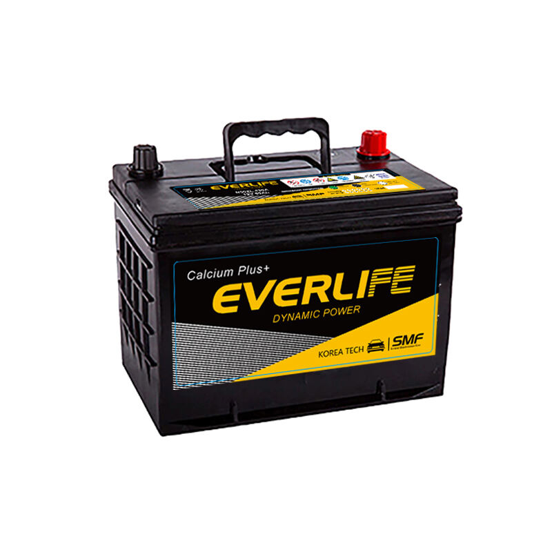 EVERLIFE N50Z Car Battery