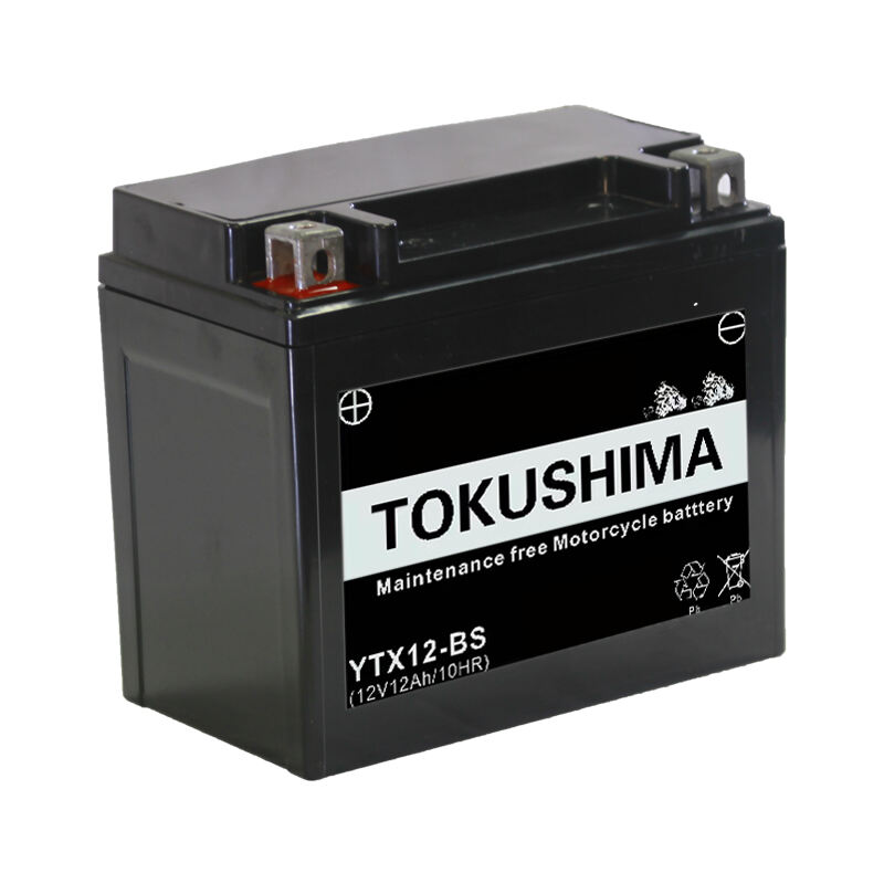 TOKUSHIMA YTX12-BS Moto Battery