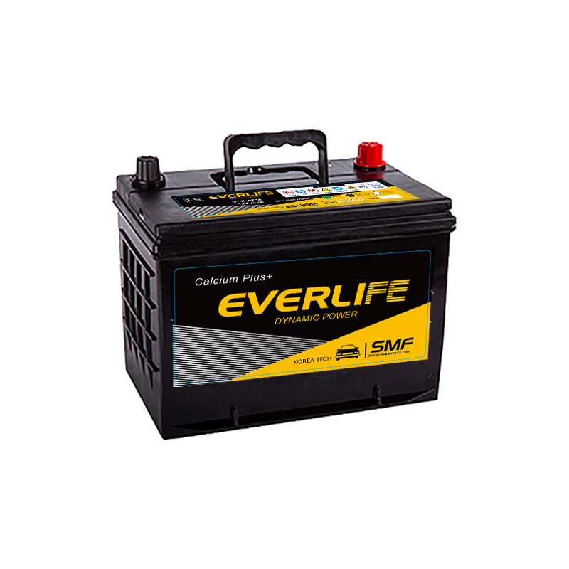 EVERLIFE N70 Car Battery