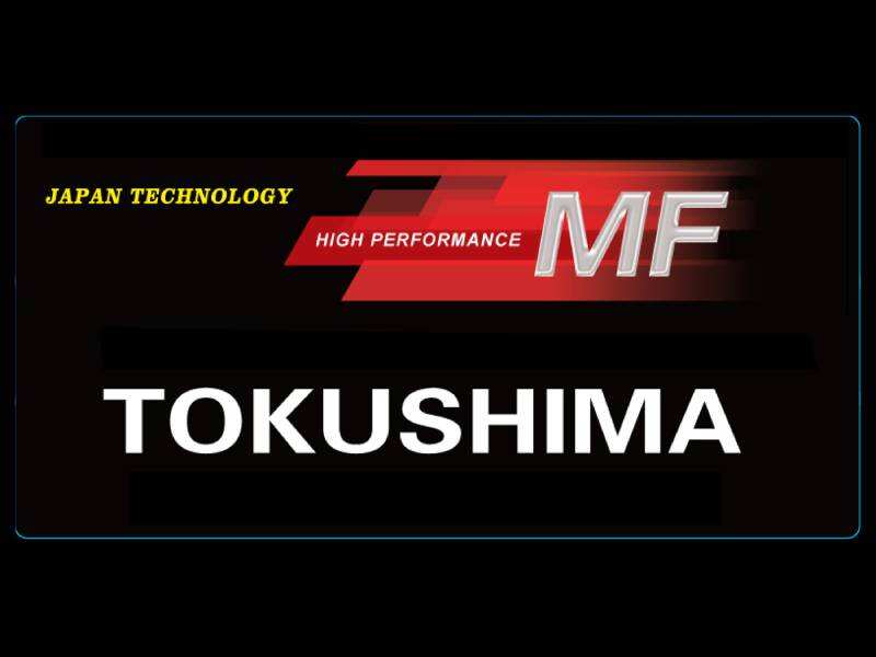 TOKUSHIMA Battery------Covering Automotive/Truck/Construction Machinery and Marine Starting Power Supplies