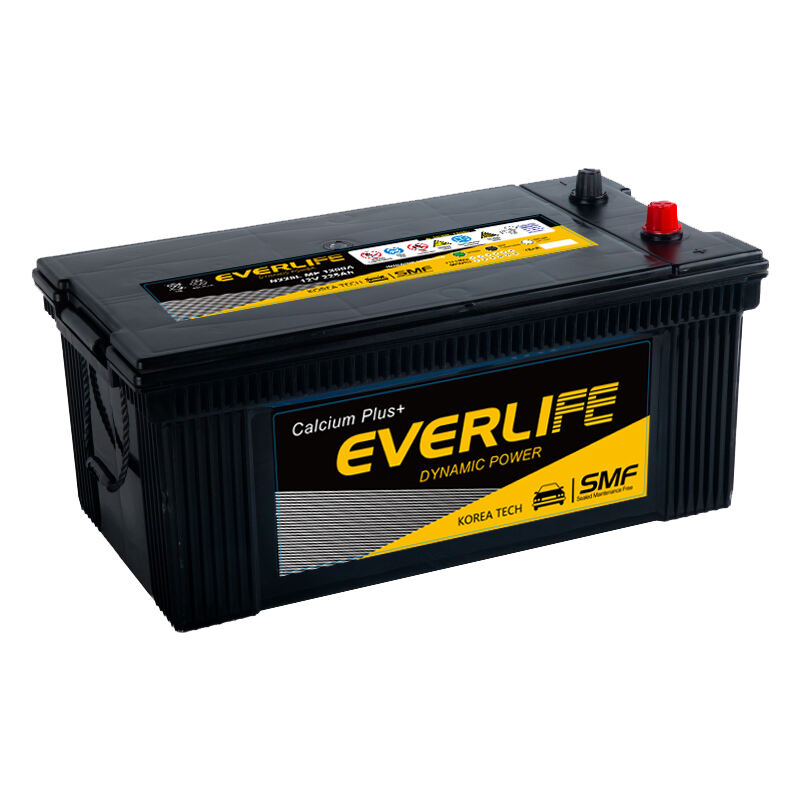 EVERLIFE N225 Truck Battery
