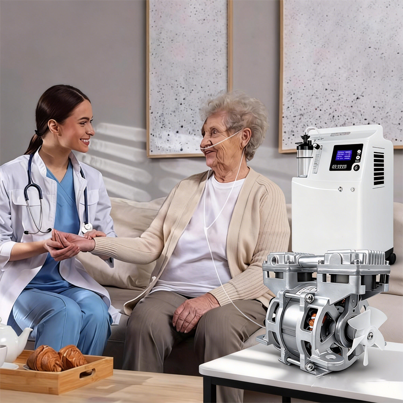 oil free compressor head for 3D printer