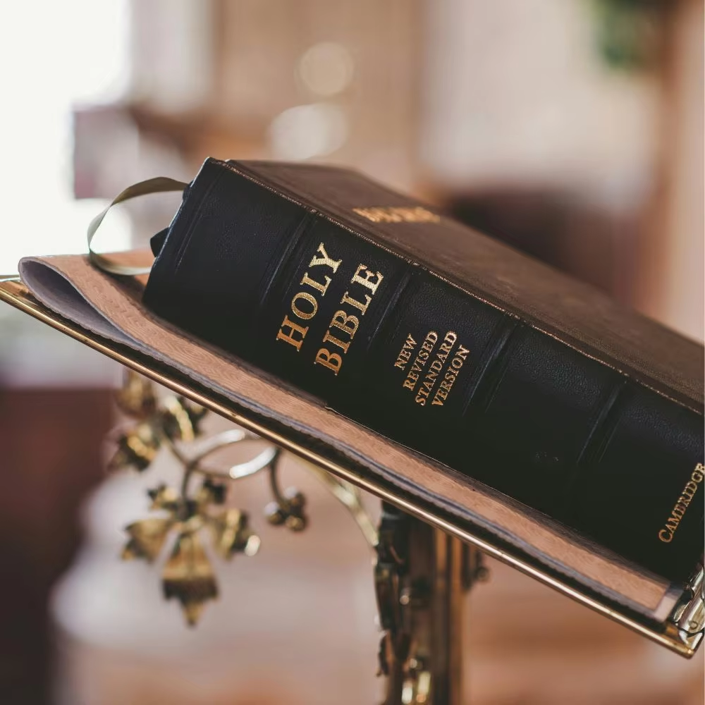 Magas Minőségű Anyagok