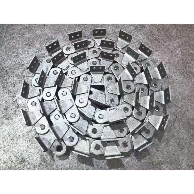 P100A2EP CATENA TRANSMISSORIS