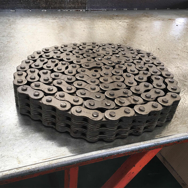  BL1666 leaf chain