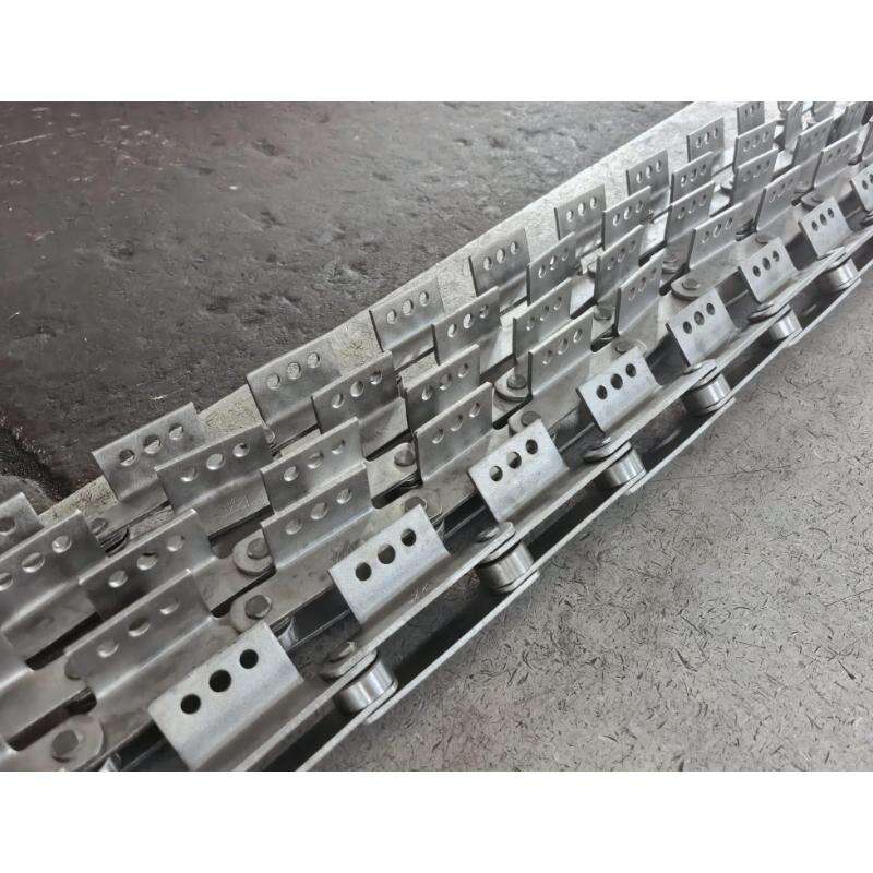 P101.6 A3 CATENA TRANSMISSORIS