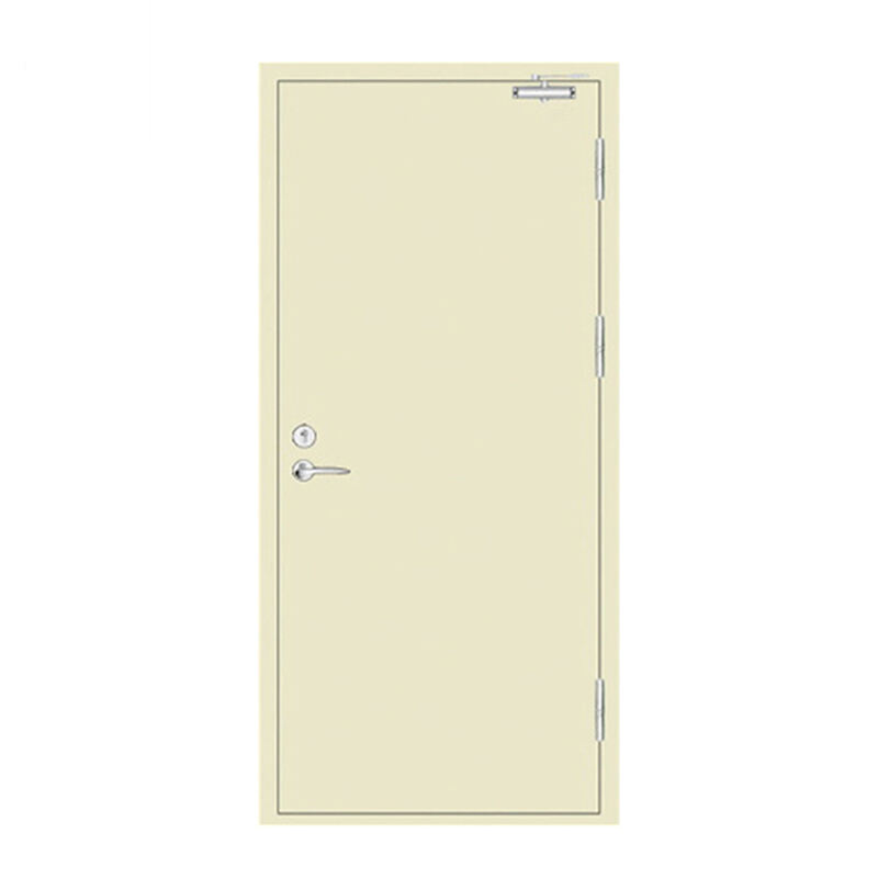 Single 20 Minute Steel Fire Interior Door