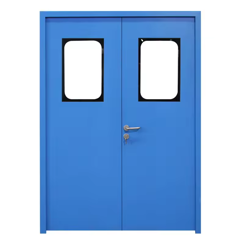 Double Metal Door For Healthcare Facilities