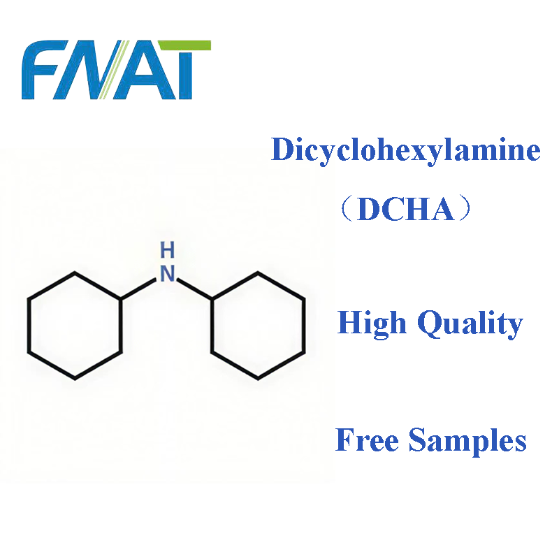 How Does Dicyclohexylamine Pricing Compare in the Market?