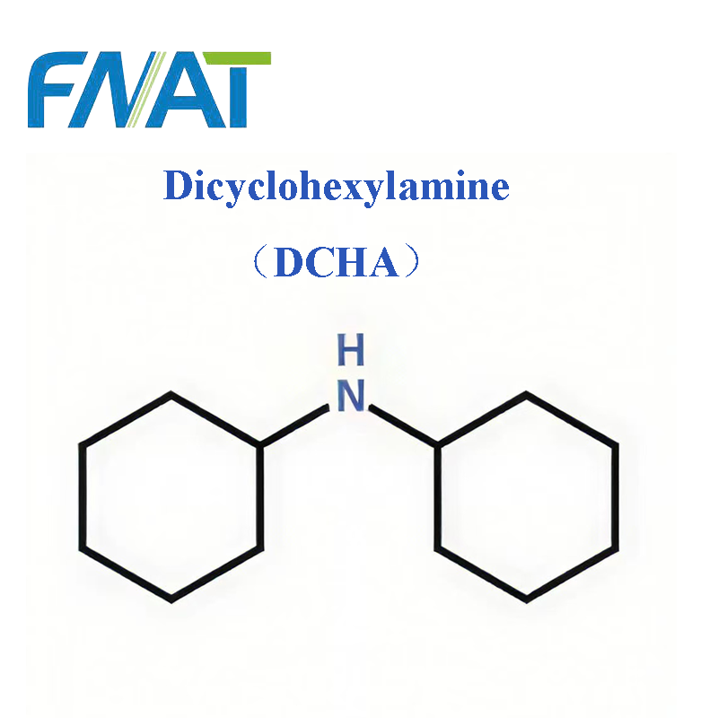 What Wholesale Buyers Need to Know About Dicyclohexylamine Uses