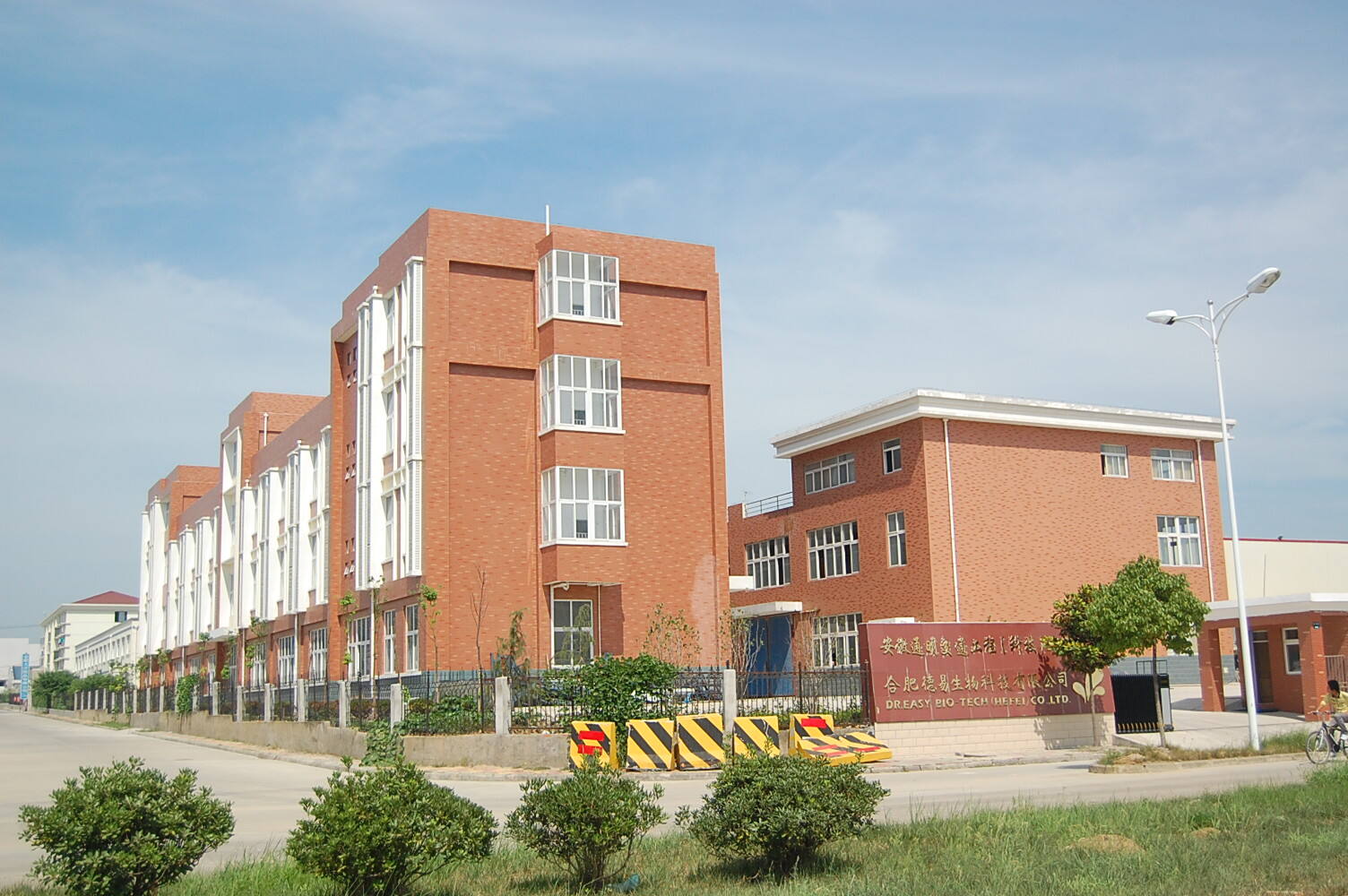 Nel 2006
