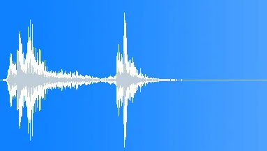 camera shutter noise