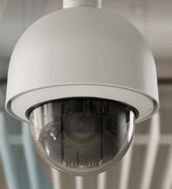 PTZ IP Cameras