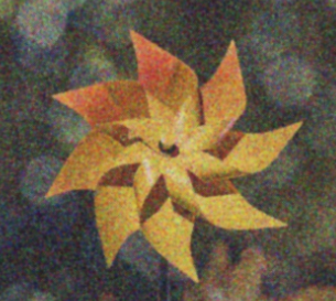 Bilateral Filter
