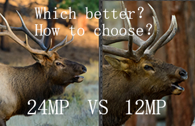 12MP vs 24MP: What's the difference? How to choose?