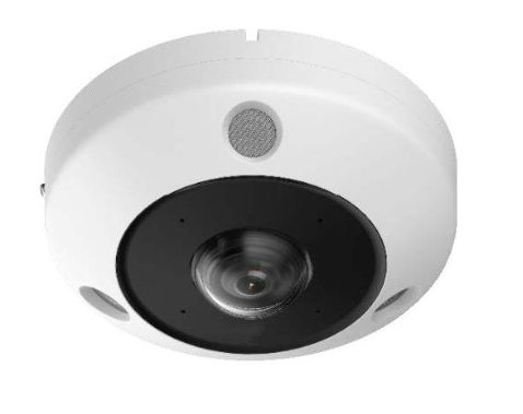 Fisheye IP Cameras