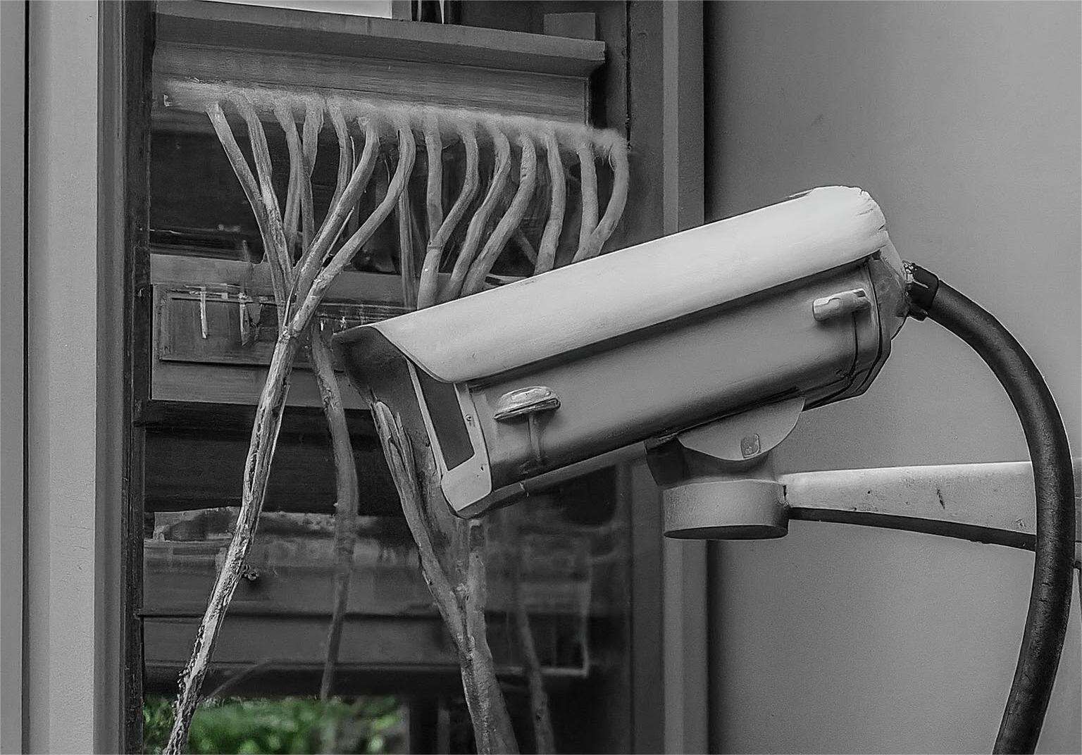 A Comprehensive Guide to PoE Security Cameras for Beginners