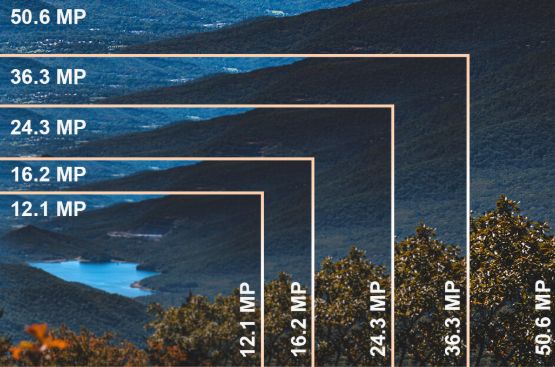 The Difference Between 12MP and 24MP Cameras