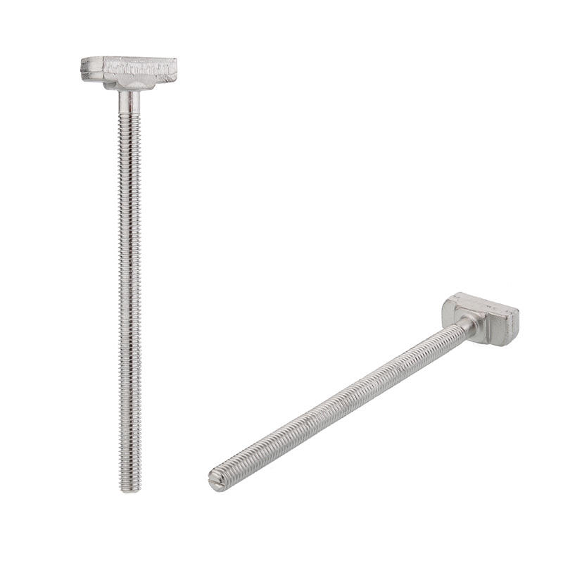 Stainless steel high quality T bolt