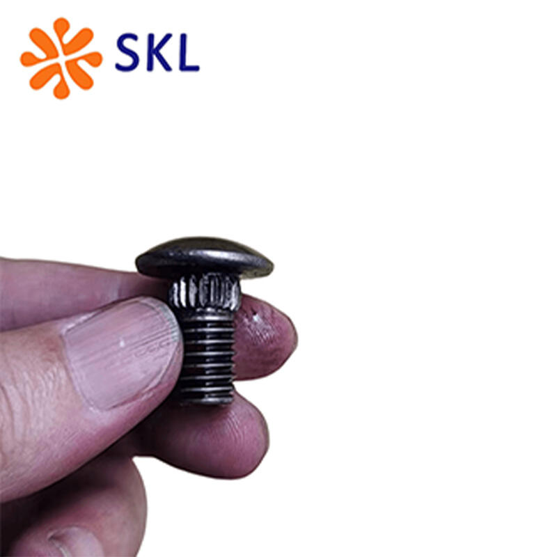 Stainless steel carriage bolts